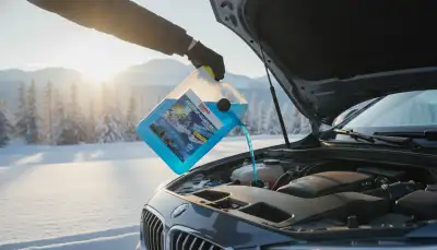 Klare Sicht: Scheibenenteiser Konzentrat