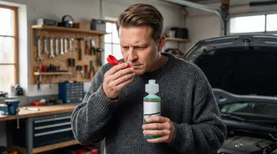 Die 8 besten Winterwischwasser Konzentrate im Vergleich (August 2026)